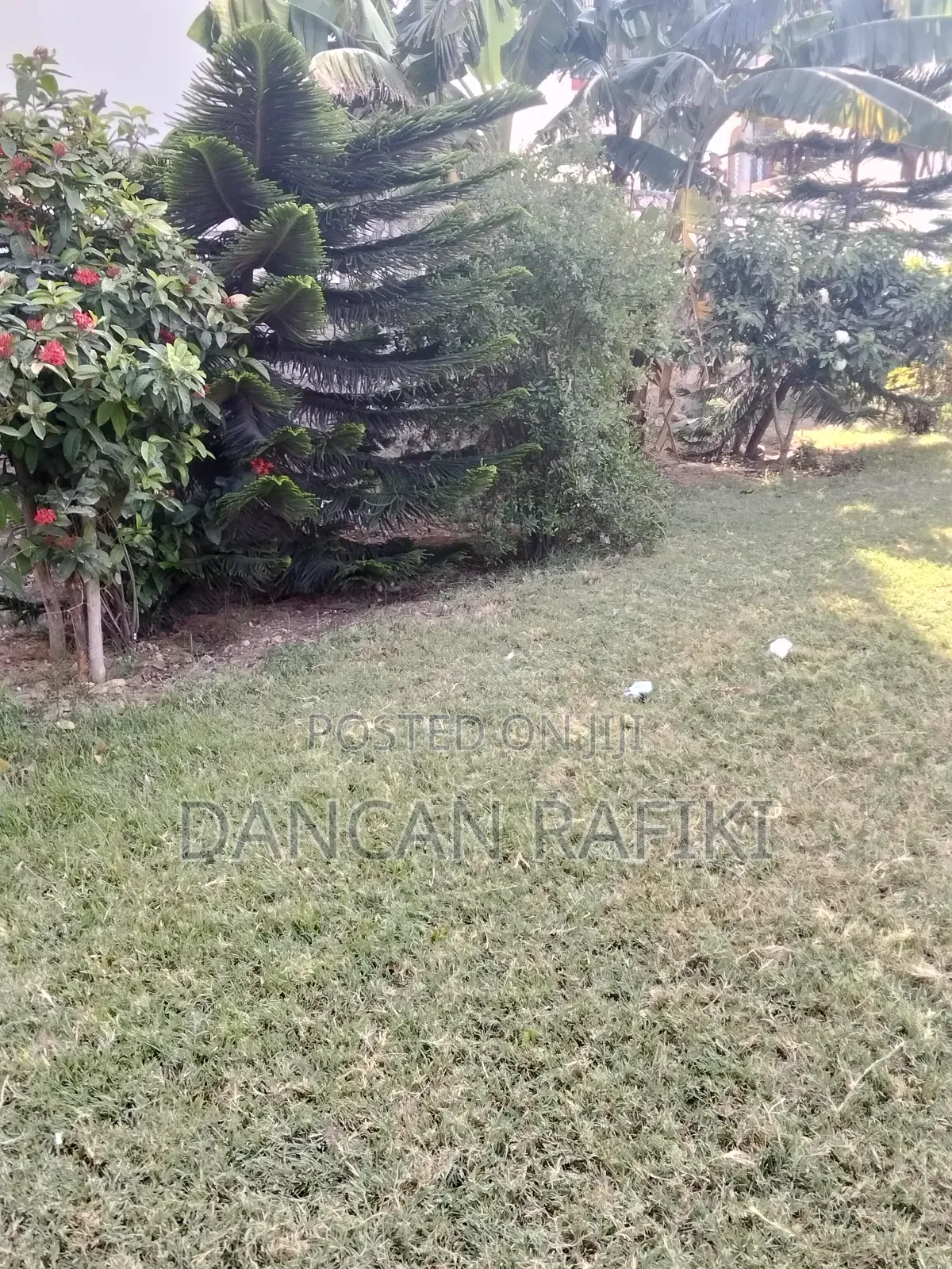 Lovely Event Garden/Center