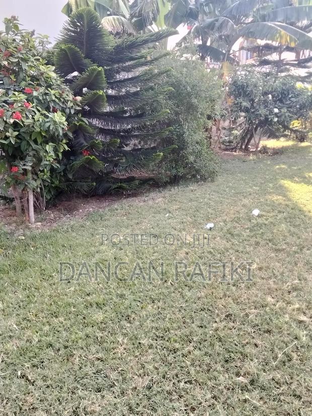 Lovely Event Garden/Center - thumbnail 10