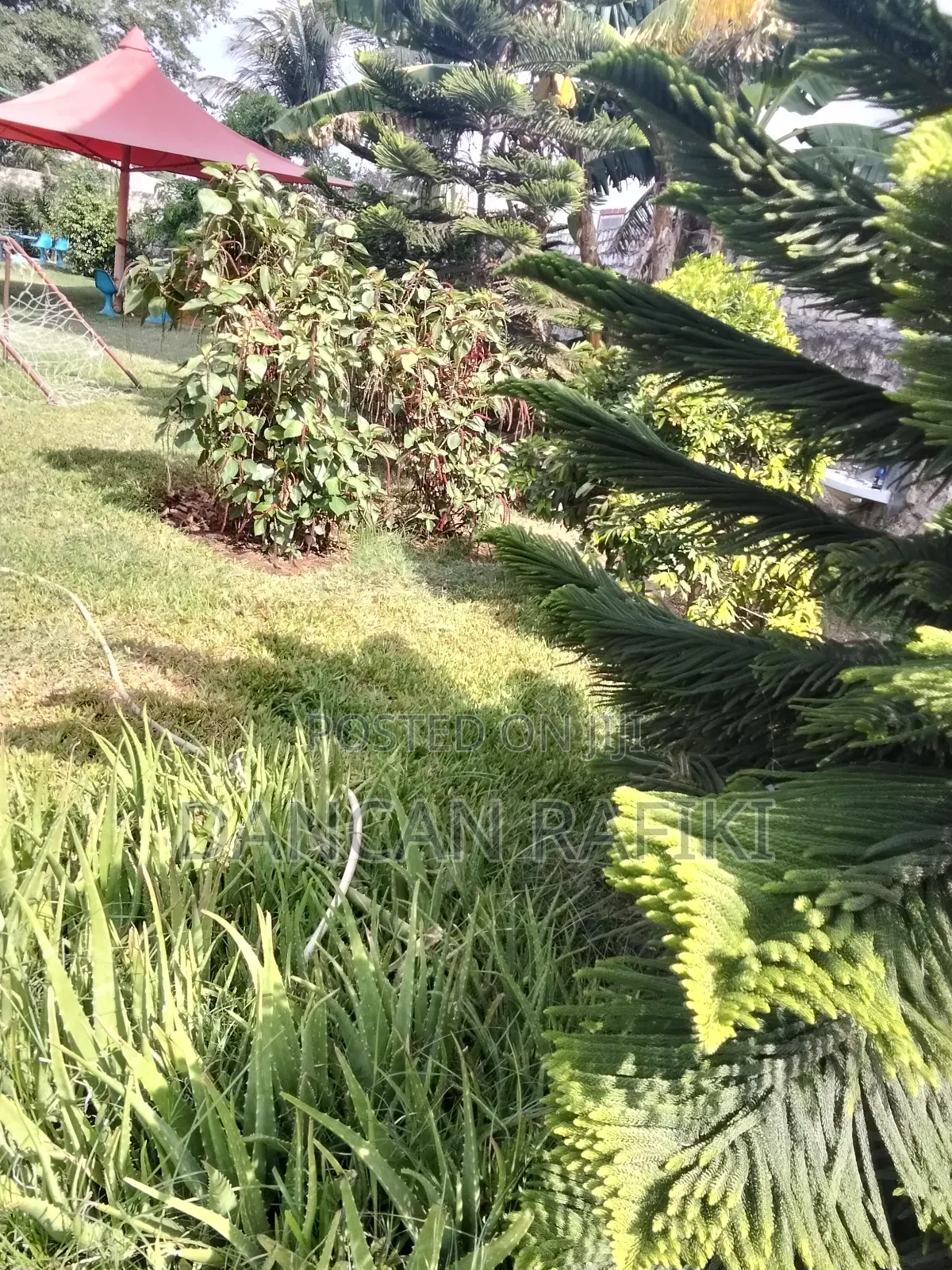 Lovely Event Garden/Center