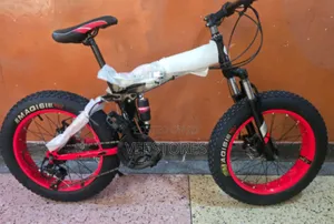 Offroad Folding Bikes With Large Tires