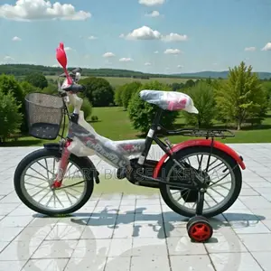 Fun Safe Cartoon Bike 20 Inch 7-13 Years Children Kids