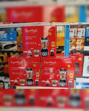 1000watts 4 in 1 Signature Blender