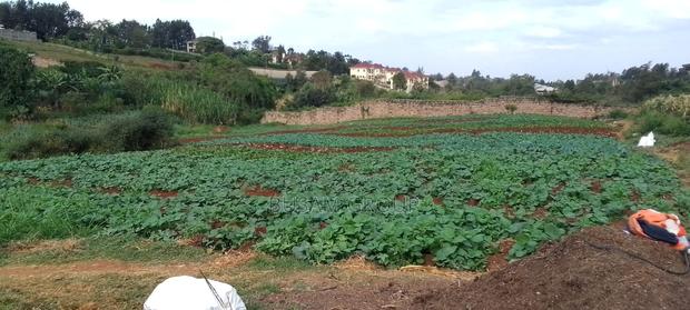 6 Acre Farm for Sale - main view