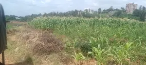 6 Acre Farm for Sale