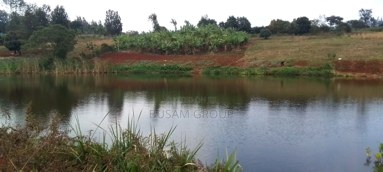 6 Acre Farm for Sale
