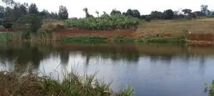 6 Acre Farm for Sale