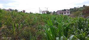 Half Acre Residential Plot Mugumo - main view