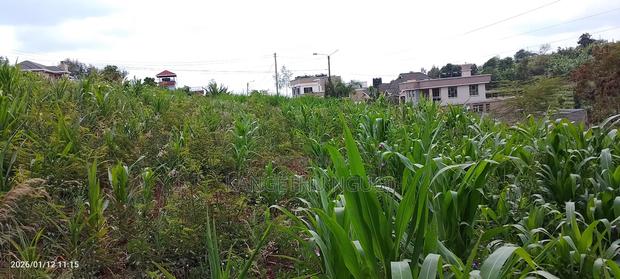 Half Acre Residential Plot Mugumo