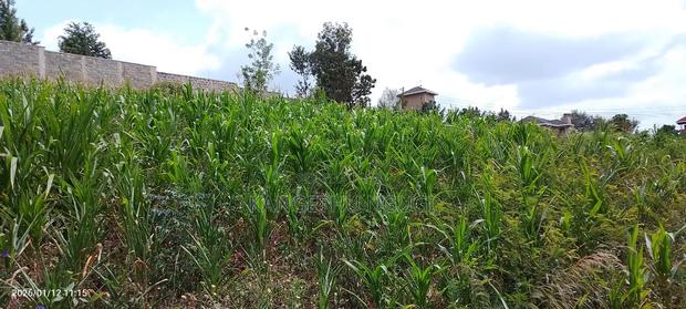 Half Acre Residential Plot Mugumo - thumbnail 2