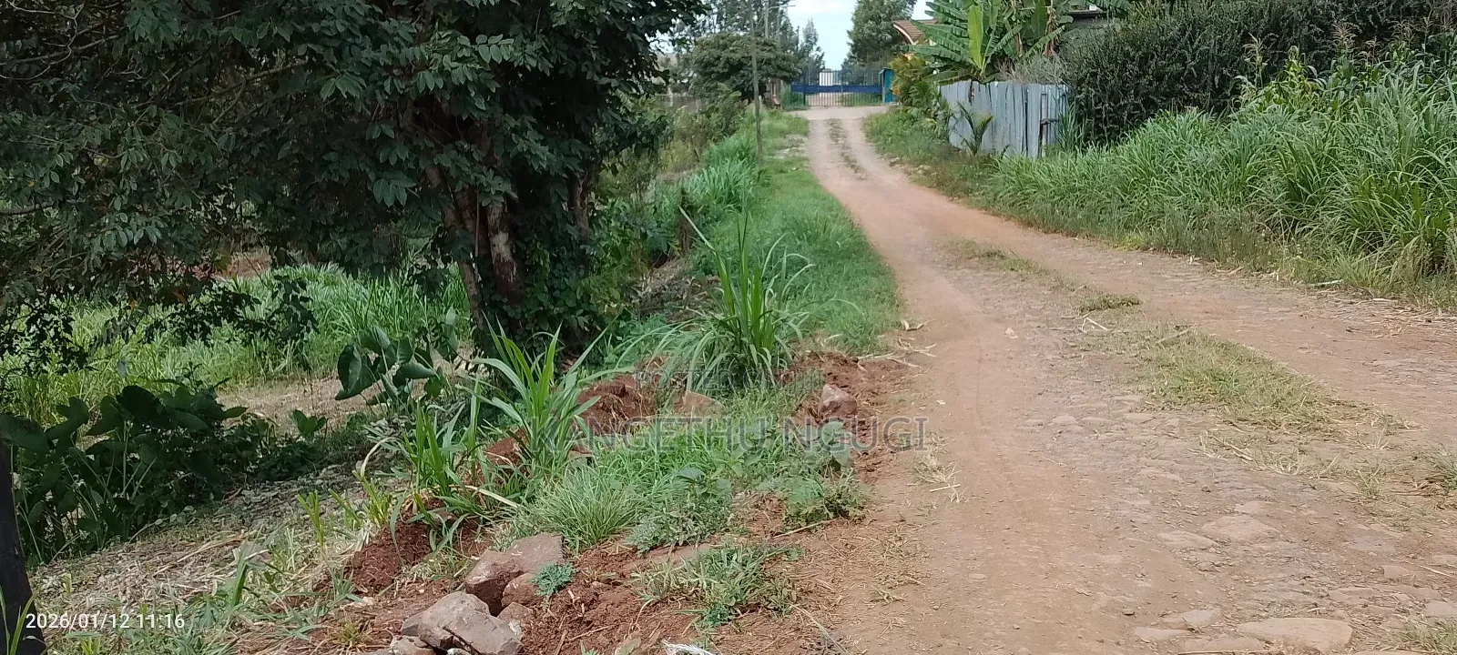 Half Acre Residential Plot Mugumo
