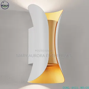 Outdoor Light/Outdoor Lighting