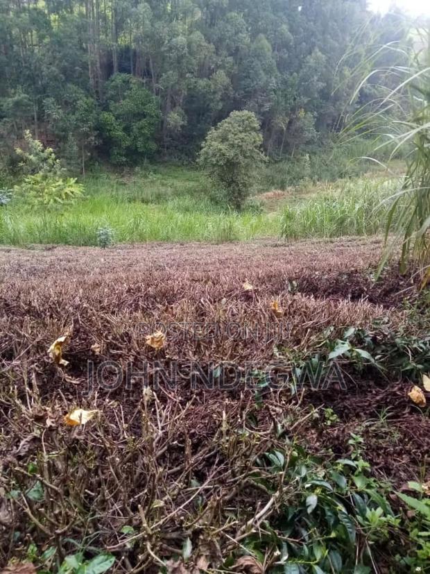Karatina Nyeri Prime Land - main view