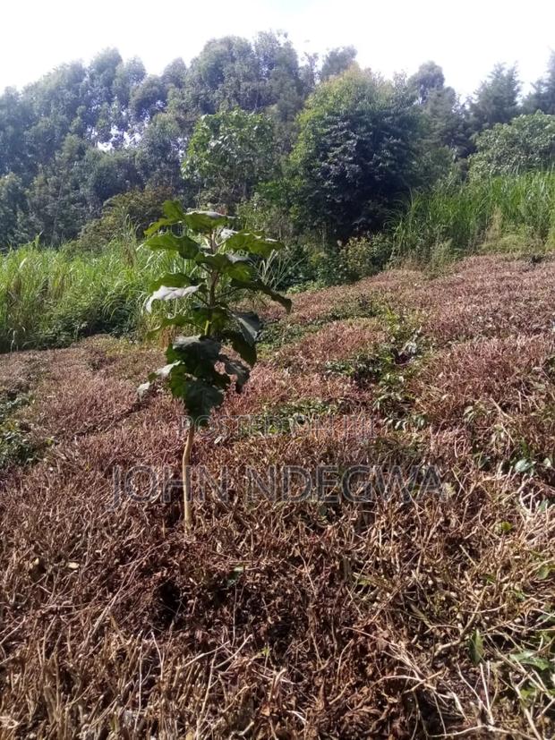 Karatina Nyeri Prime Land - thumbnail 2