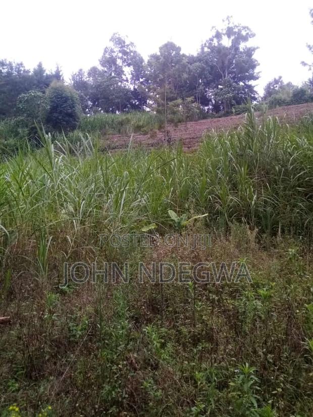 Karatina Nyeri Prime Land - thumbnail 7