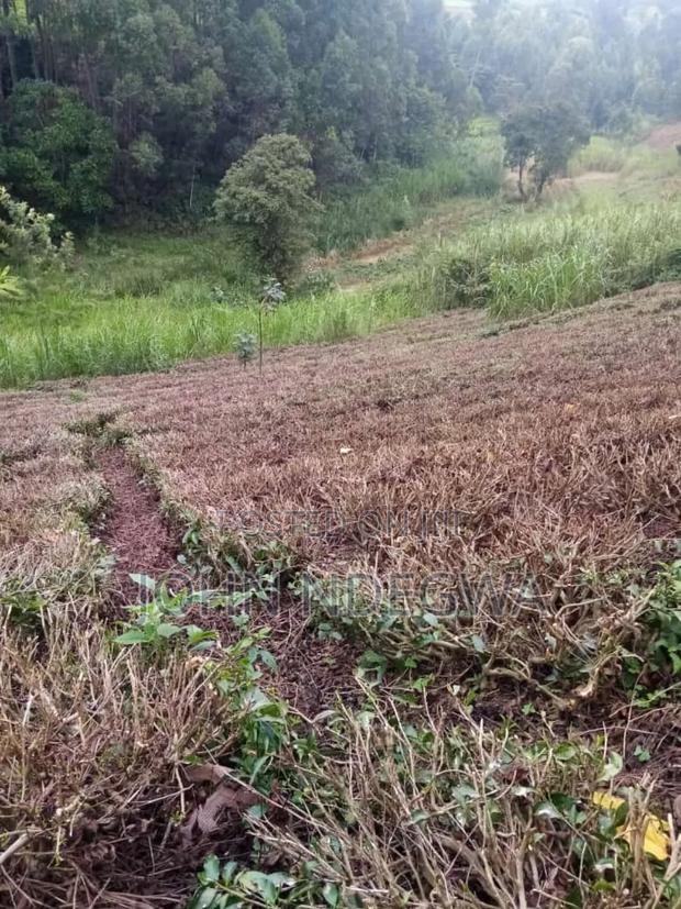 Karatina Nyeri Prime Land - thumbnail 8