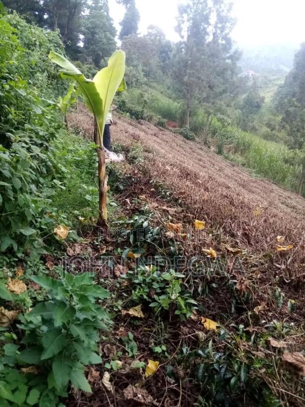 Karatina Nyeri Prime Land - thumbnail 15