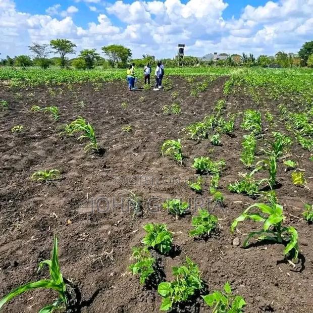 Land for Sale - thumbnail 5