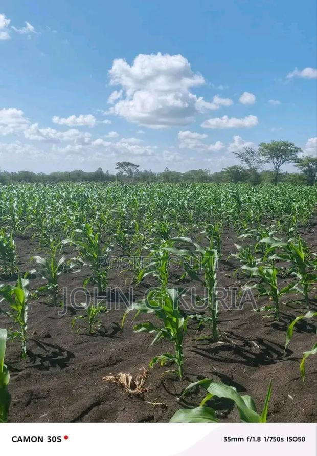 Land for Sale - thumbnail 6