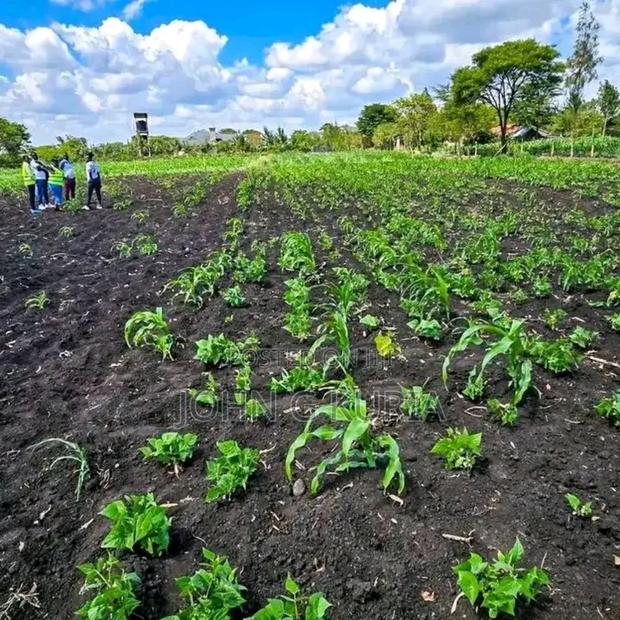 Land for Sale - thumbnail 8