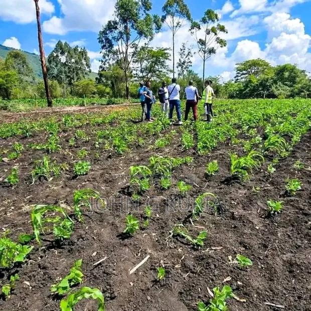 Land for Sale - thumbnail 9