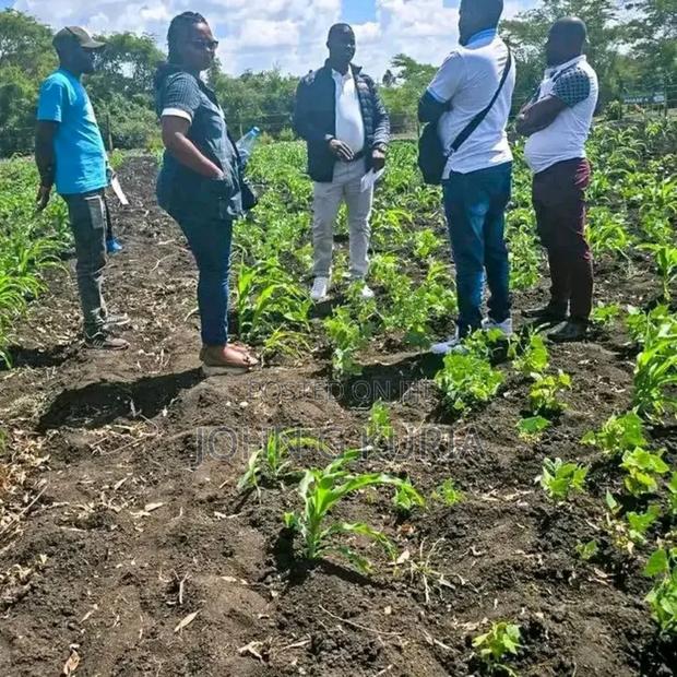 Land for Sale - thumbnail 10