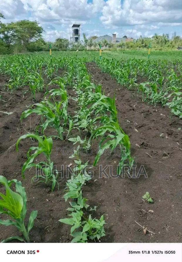 Land for Sale - thumbnail 12