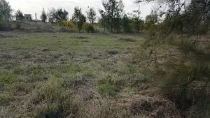 Prime Land for Sale