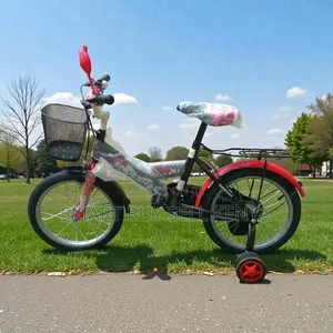 Fun and Safe 20 Inch 7-13 Years Children Kids Cartoon Bike Stable Ride