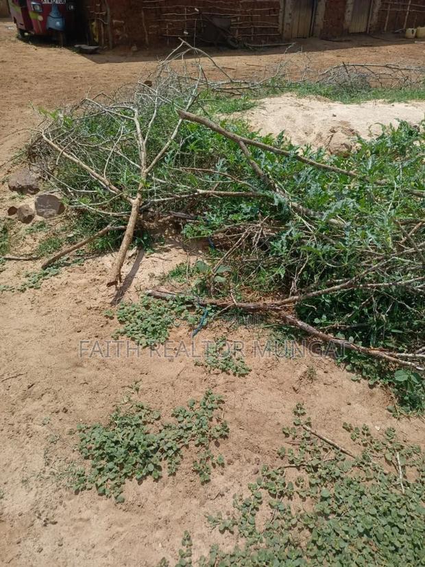 50 By 100 Plots In Malindi Chakama - thumbnail 3