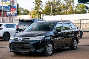 Toyota Corolla Fielder 2018 Black
