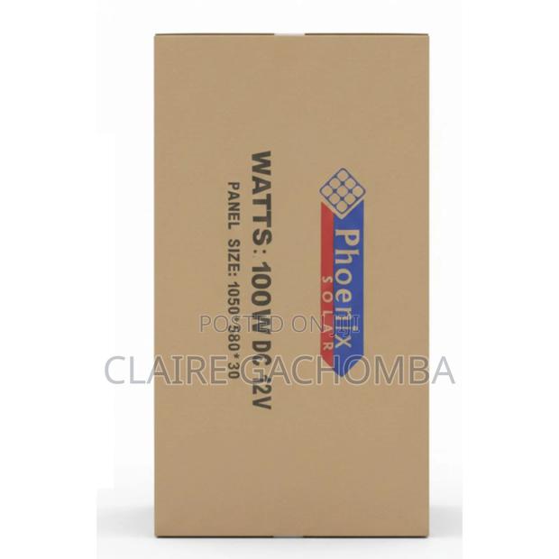 Original Phoenix 100w Solar Panel - main view