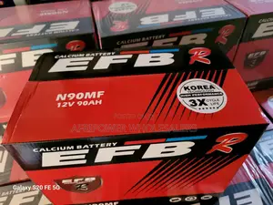 Efb N90/ 90ah Battery