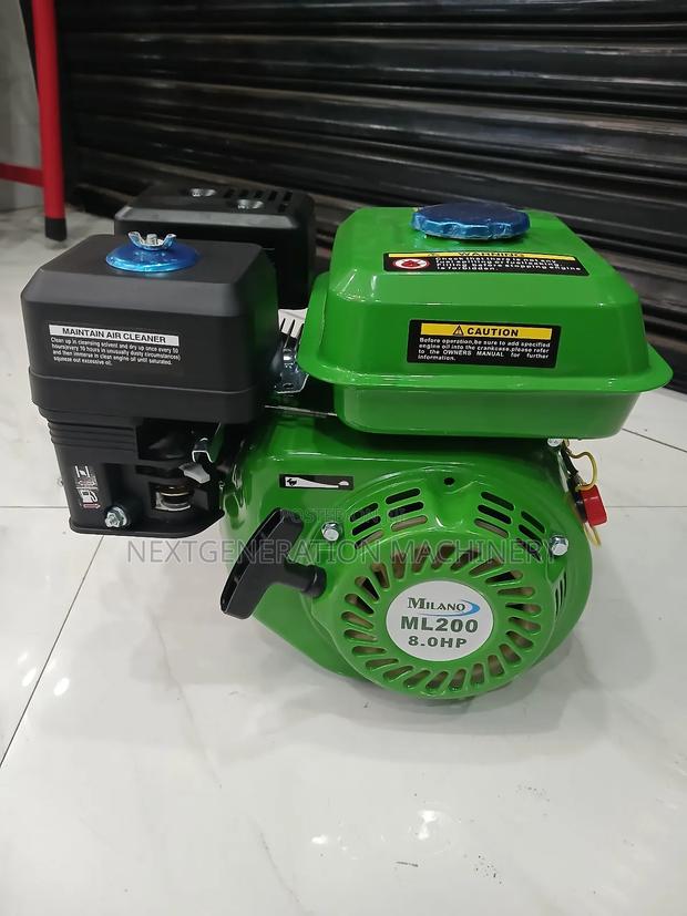 Milan Ml200 Engine - main view