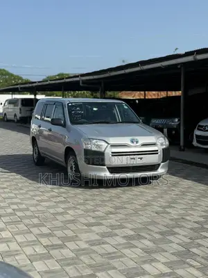 Toyota Probox 2019 Silver