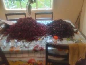 Dry Hibiscus and Seeds - main view