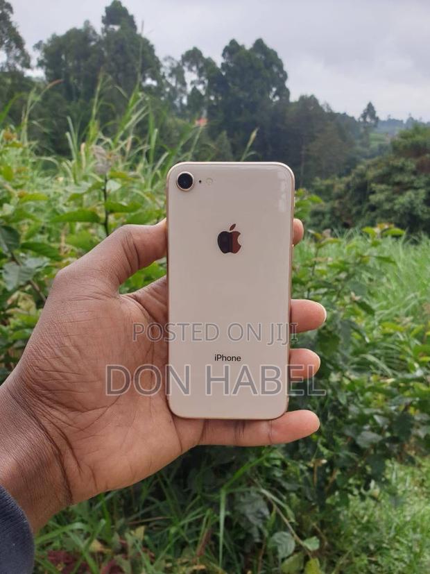 Apple iPhone 8 64 GB Gold - main view