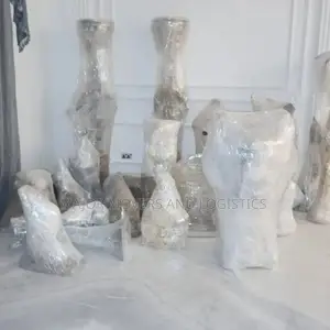 Professional Movers Services Within