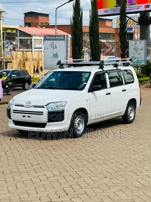 Toyota Probox 1.3 DX 2WD 2019 White