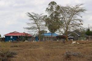 Isinya Highway Plots for Sale - thumbnail 2