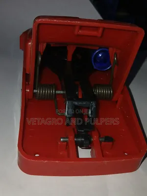 Mouse Trap Plastic
