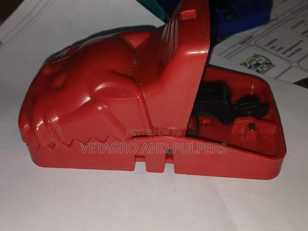 Mouse Trap Plastic