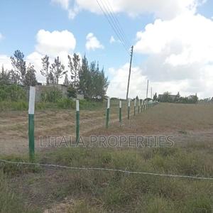 Oasis Gardens, Malaa - thumbnail 2