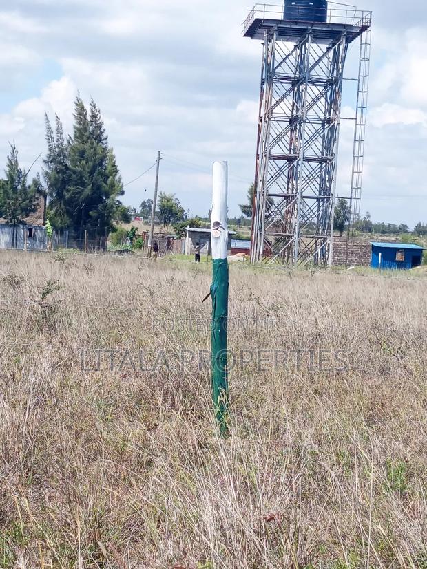 Oasis Gardens, Malaa - thumbnail 4