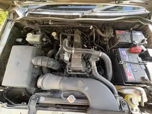 Mitsubishi Pajero 2010 Gold