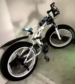 Offroad Folding Bikes With Large Tires