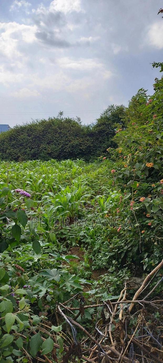 Land On Sale - thumbnail 3