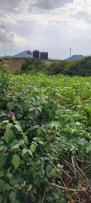 Land On Sale - thumbnail 2