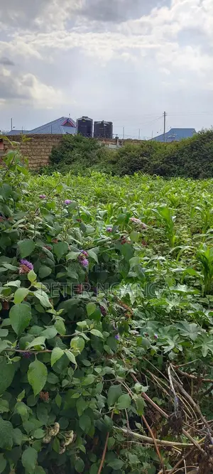 Land On Sale