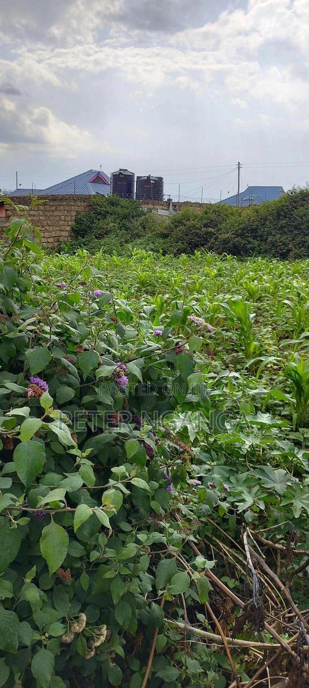 Land On Sale - main view