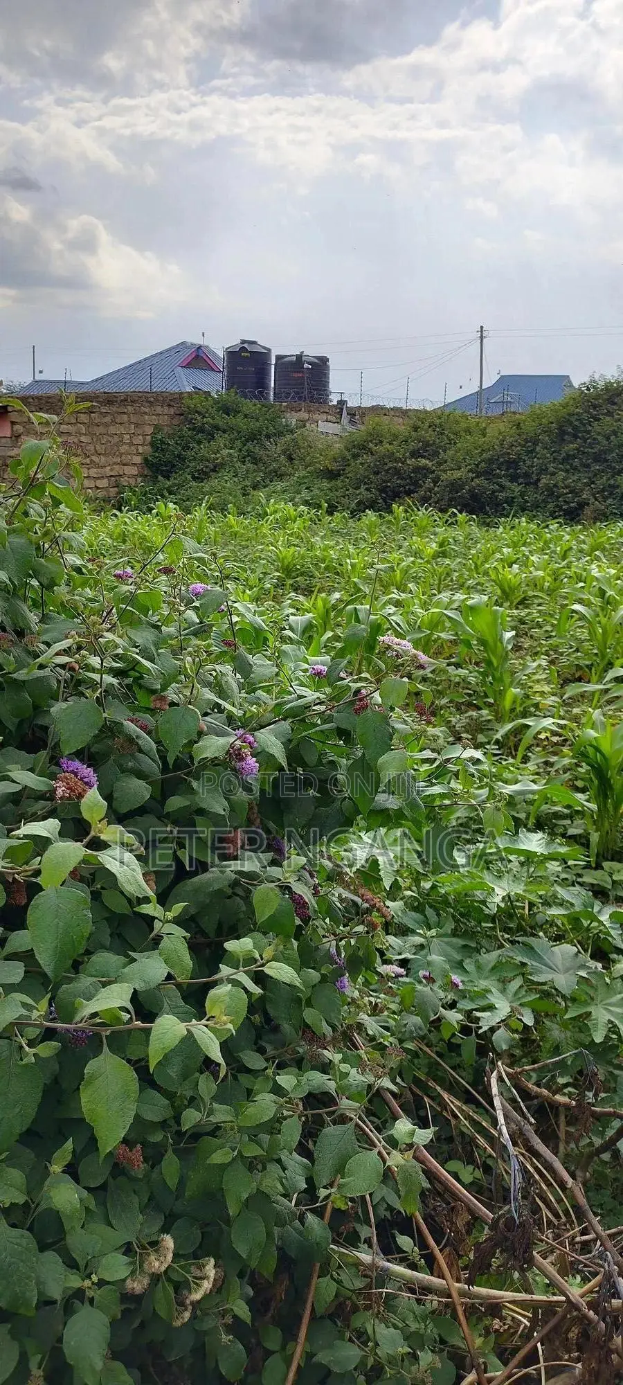 Land On Sale